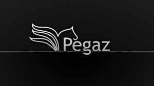 Pegaz Logo Pegaz Logo